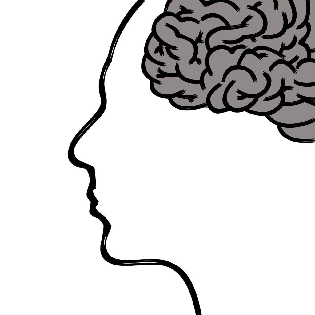 Figura de perfil de cerebro y cabeza