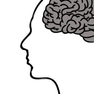 Figura de perfil de cerebro y cabeza